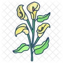 Lirio Flor Flor Ícone
