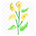 Lirio Flor Flor Ícone