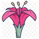 Desenho Animado Lirio Ícone