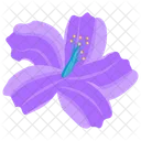 Lirio Stargazer Flor De Lirio Flor Icon