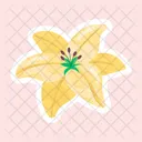 Adesivos De Flores Flores Desabrochando Flores Da Primavera Ícone