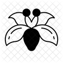  Icône