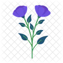 Lisianthus Icon