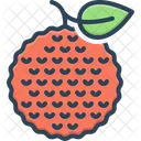 Litchi Leechee Lichee Icon