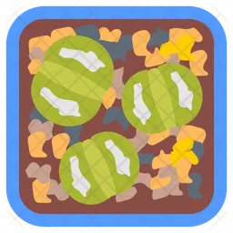 Lithops  Icon