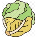 Little Gem Lettuce Icon