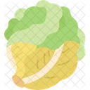 Little Gem Lettuce Icon