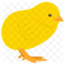 Little Chicken Chicken Yellow Chick Icon