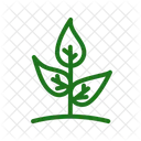 Little Tree Tree Plant Icon