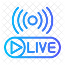Live Live Stream Live Streaming Icon