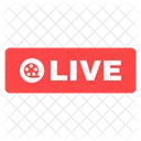 Live Live Video Streaming Icon