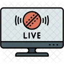 Live Screen Cricket Icon