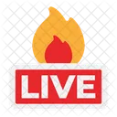 Live  Icon