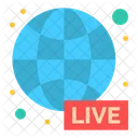Live News  Icon
