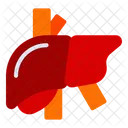 Liver  Symbol