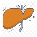 Liver Icon