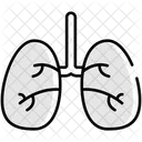 Liver Icon