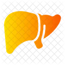 Liver Internal Body Icon