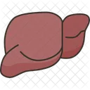 Liver Organ Health Icon