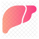 Liver Anatomy Organ Icon