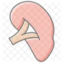 Liver Awesome Lineal Color Icon Icon