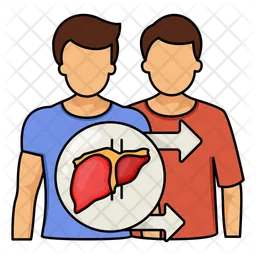 Liver  Icon