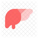 Liver Organ Hepatic Icon