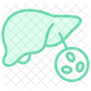 Liver Duotone Line Icon Icon