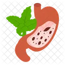 Liver  Icon