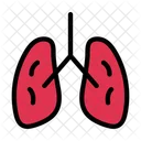 Liver Body Organ Icon