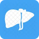 Liver Organ Body Icon