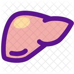 Liver  Icon