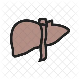 Liver  Icon