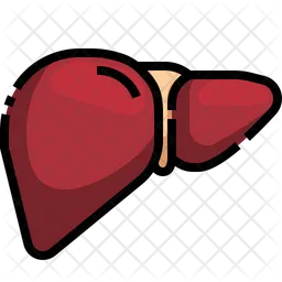 Liver  Icon