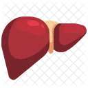 Liver Organ Body Part Icon