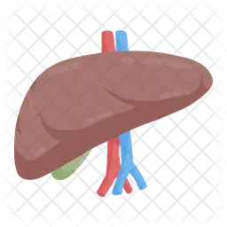 Liver  Icon