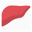 Liver Transplant Body Organ Icon
