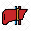 Liver Anatomy Hepatitis Icon