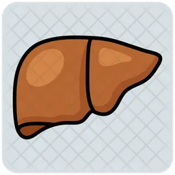 Liver  Icon