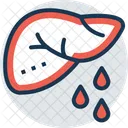 Liver Function Test Icon