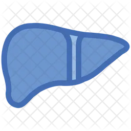 Liver  Icon