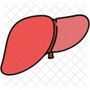 Liver Body Organ Icon