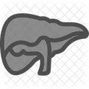 Liver Organ Health Icon