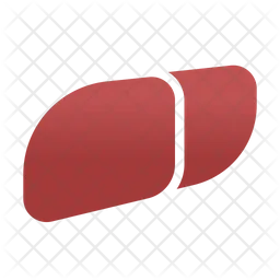 Liver  Icon