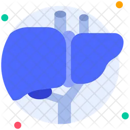 Liver  Icon