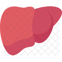 Liver  Icon