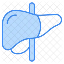 Liver  Icon