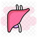 Liver Icon