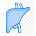 Liver Icon