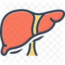 Liver Organ Digestive 아이콘